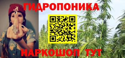 твердый Краснодар