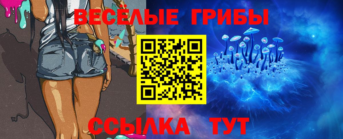 Галлюциногенные грибы GOLDEN TEACHER  Вход с VPN  цены   Тверь 